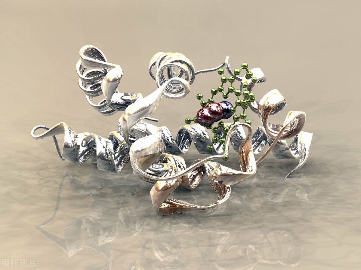 一文教会你看懂血检报告