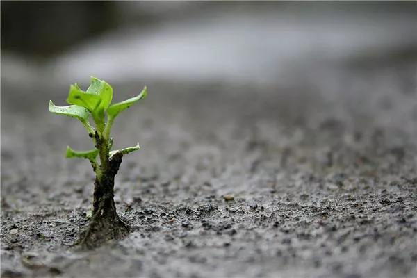 人生最值得的五大投资,人生最值得的五大投资图片