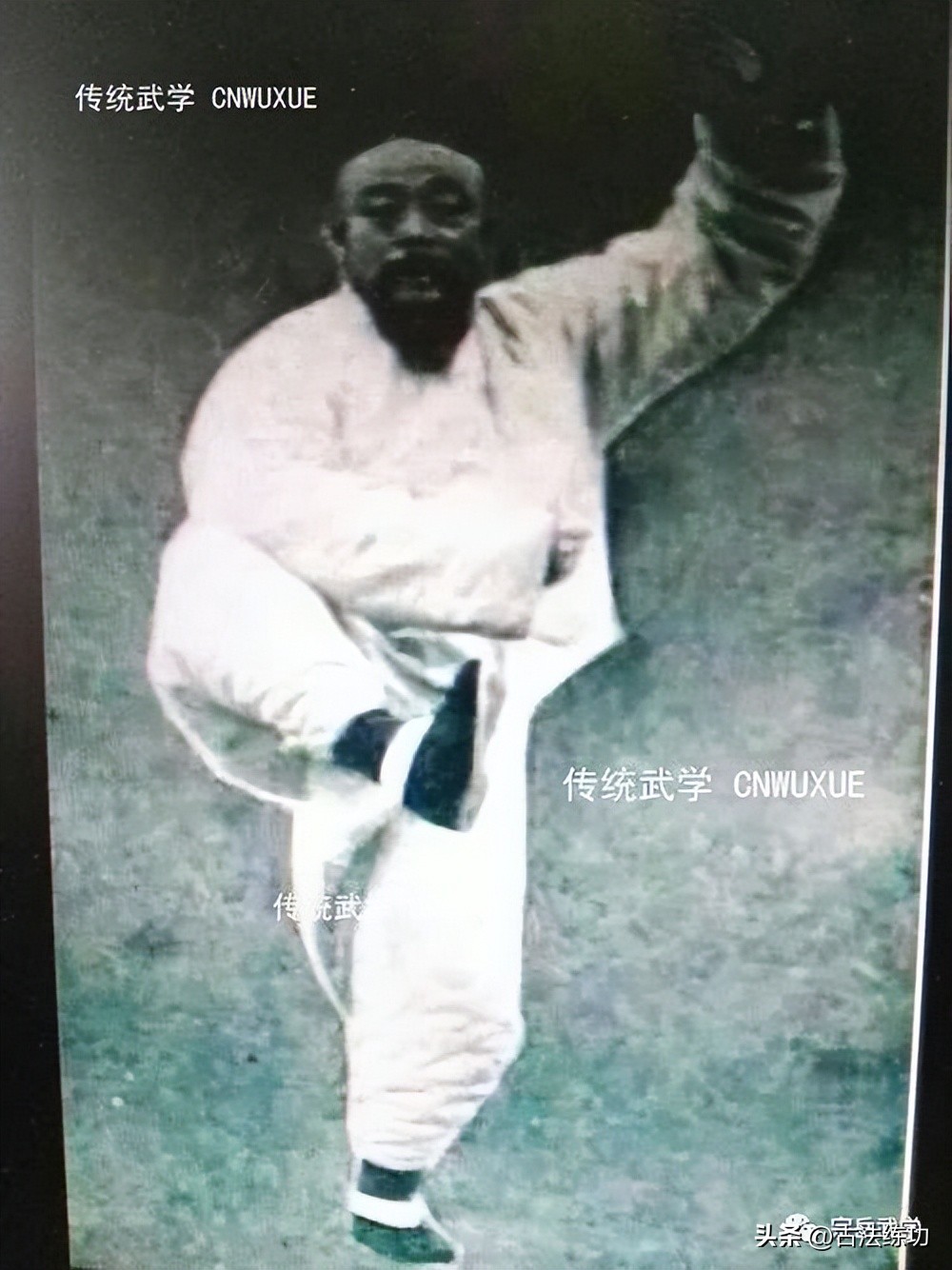 太极拳太极掌打法,太极拳套路拳架