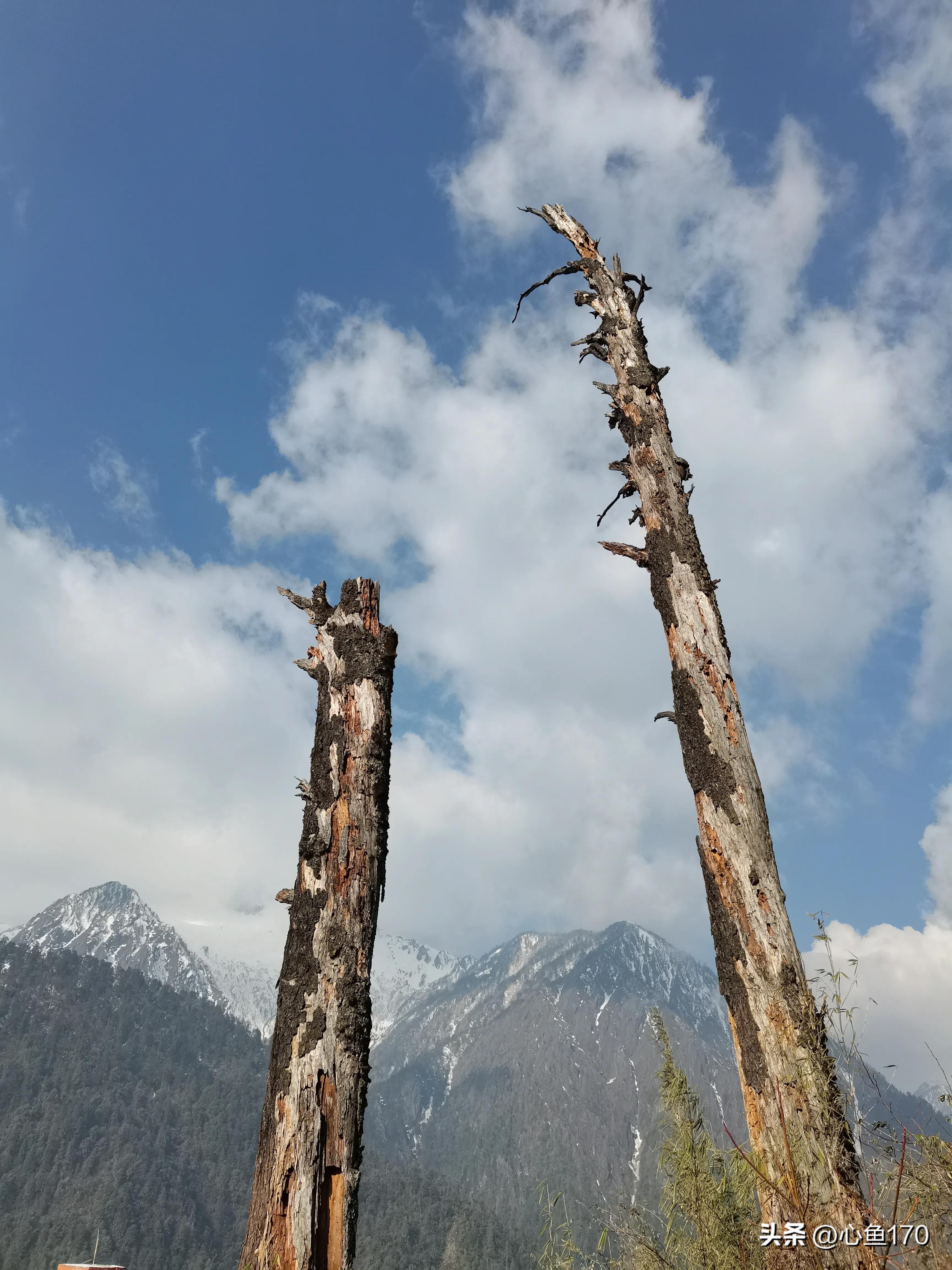 怒江秘境独龙江,怒江独龙江自由行