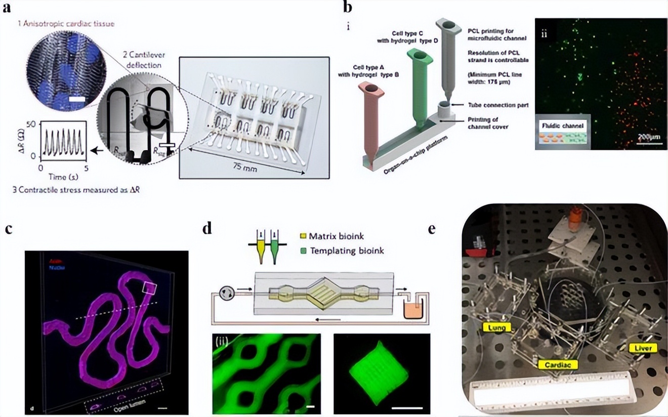 哪些因素会影响激光立体成形制造,激光立体成形性能研究