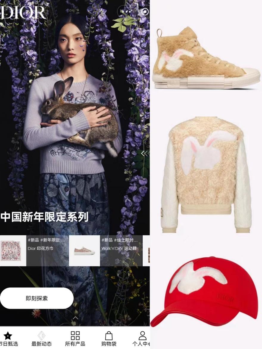 lvdior大牌手袋上新哪只最有爆款,兔年新款lv