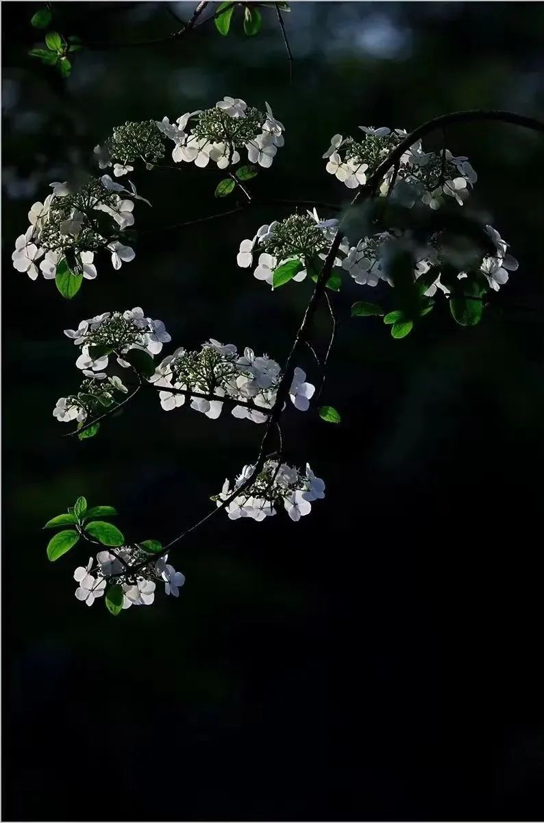 一条街里的卧虎藏龙,东关街里的小巷子别有一番风味