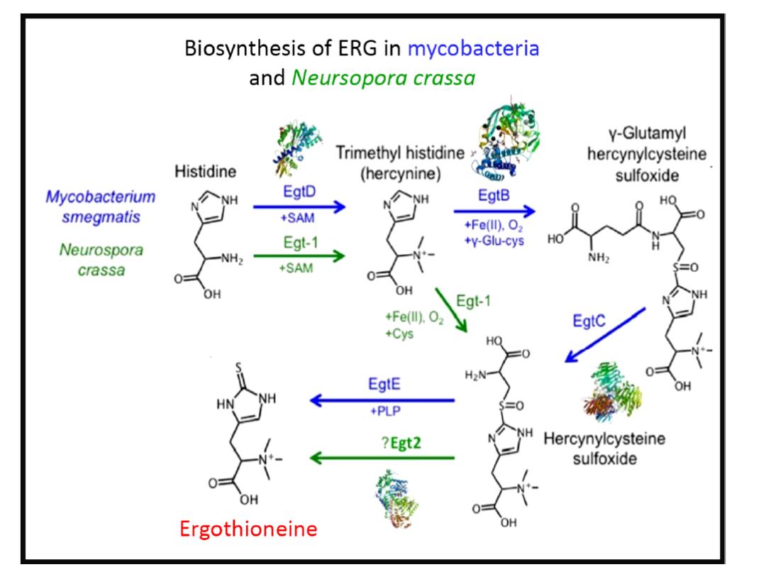 大厂抗氧新卷王，7大顶流成分王炸出道！