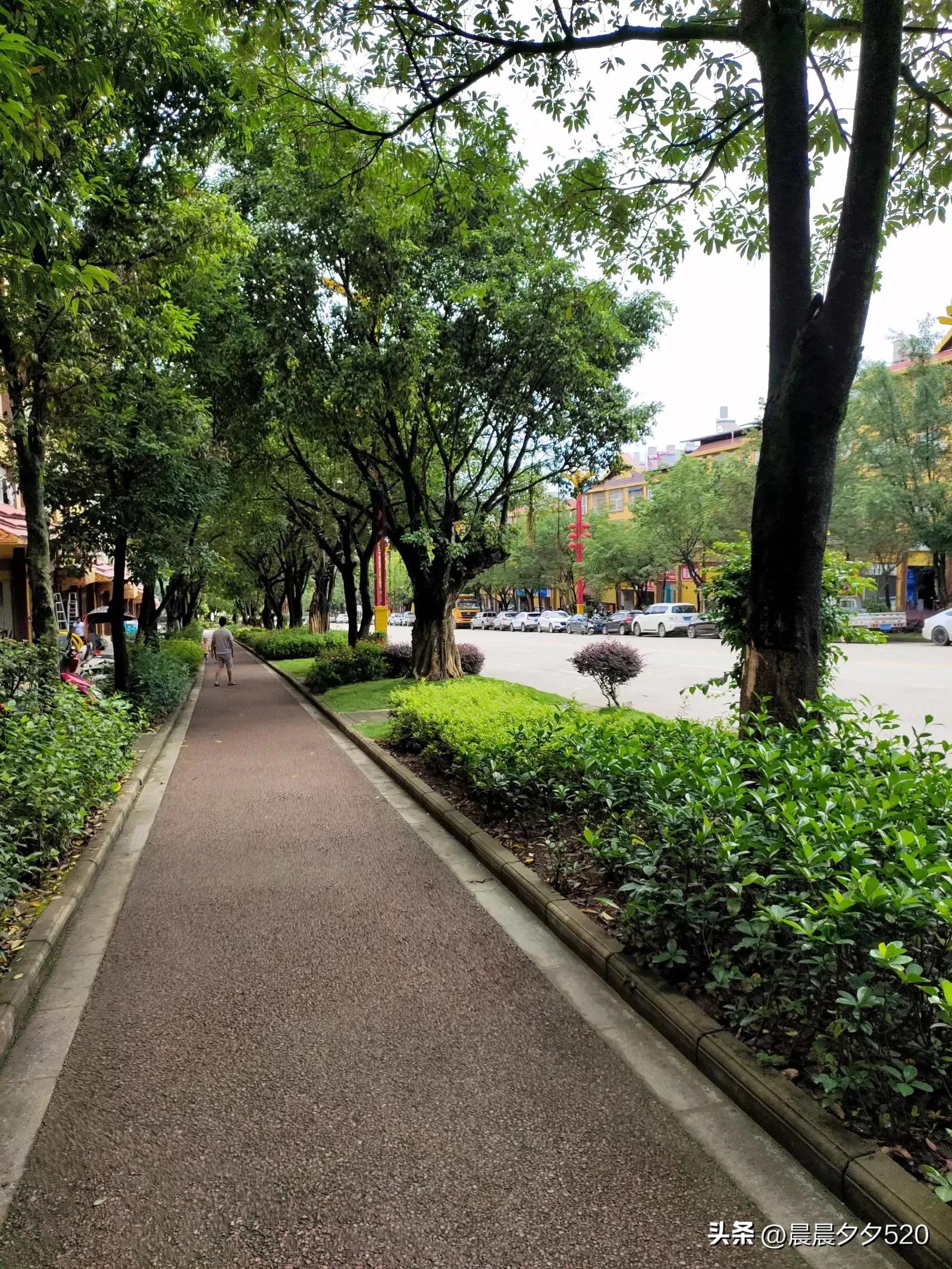 大美临沧四季如春,临沧四季如春美景