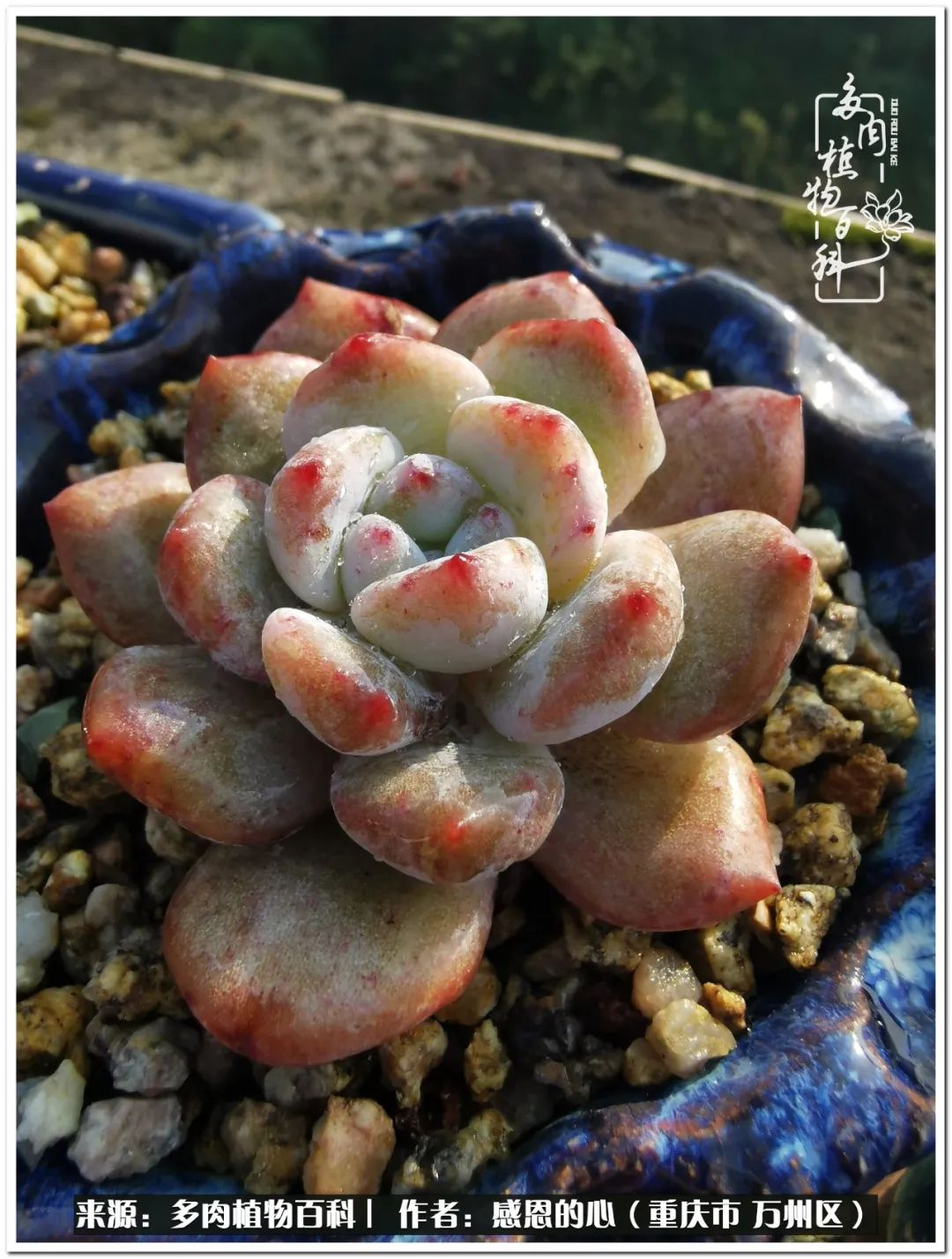 那些不经意却很惊艳的瞬间,不经意间惊艳了时光