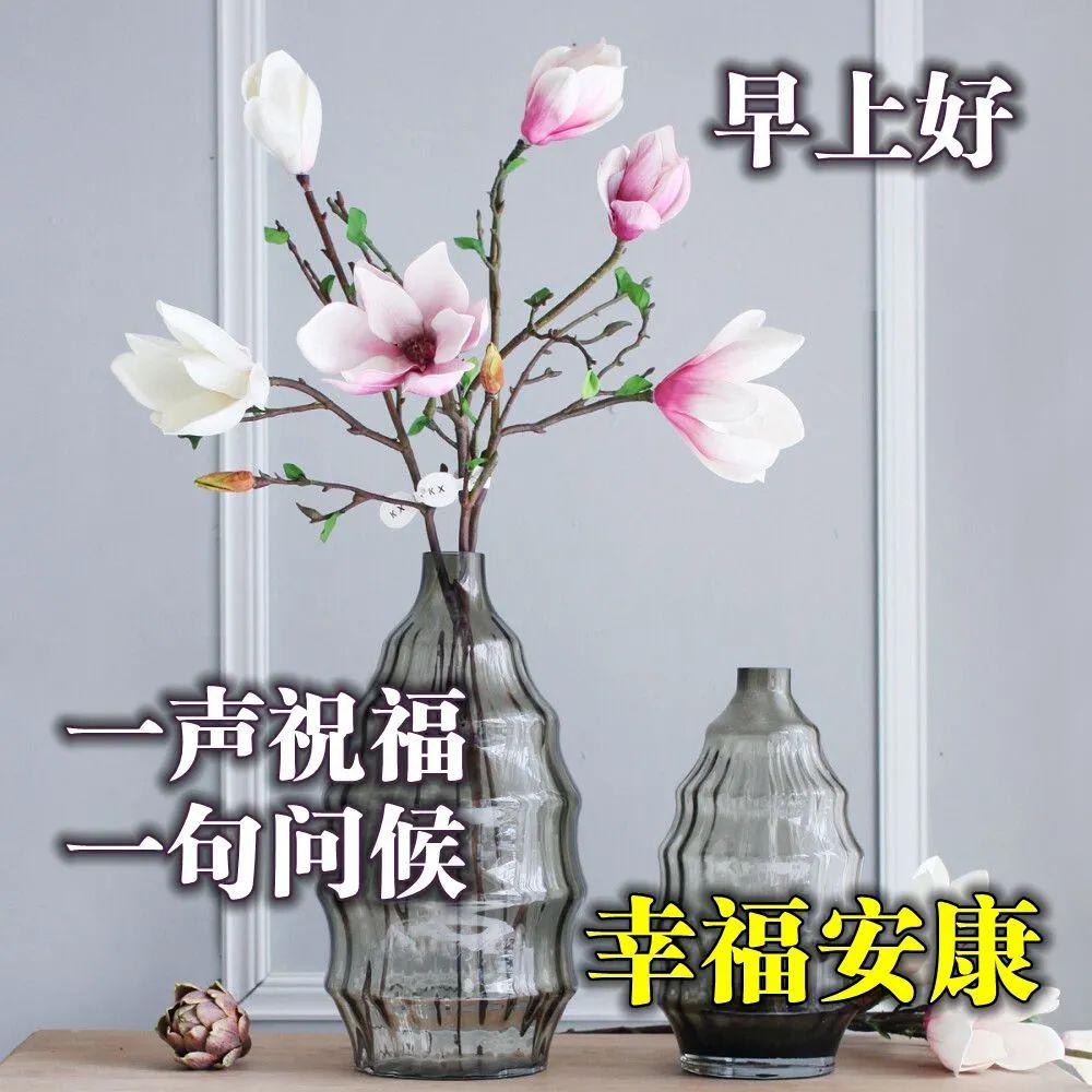 特别漂亮的早上好图片祝福问候语,早上好问候语祝福语带图片大全