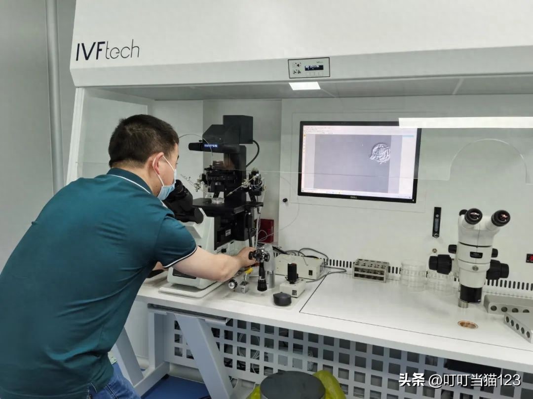 别墅內惊现手术室,别墅现手术室