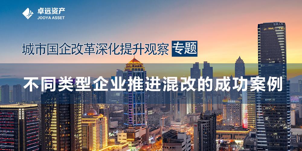 企业混改下一步工作具体举措,混改企业差异化管控经验总结