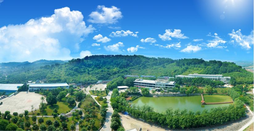 中国联通网络提速,中国联通网速加速