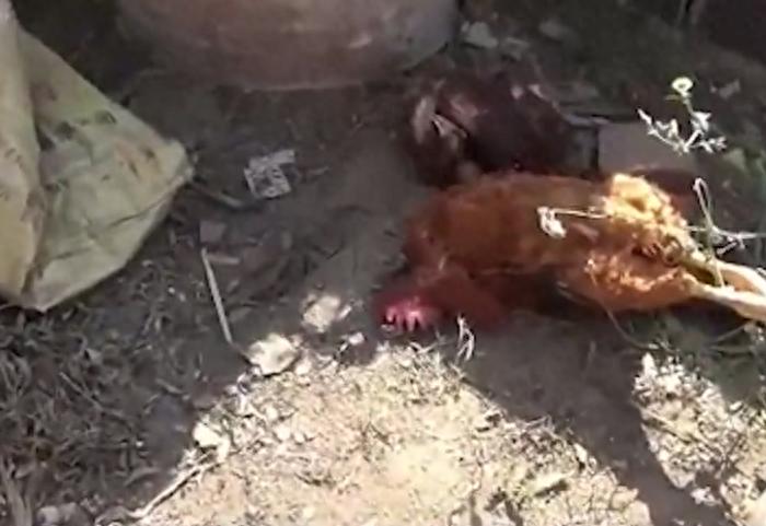 呼和浩特男性遭遇性侵案件,内蒙古呼和浩特男子出轨后续