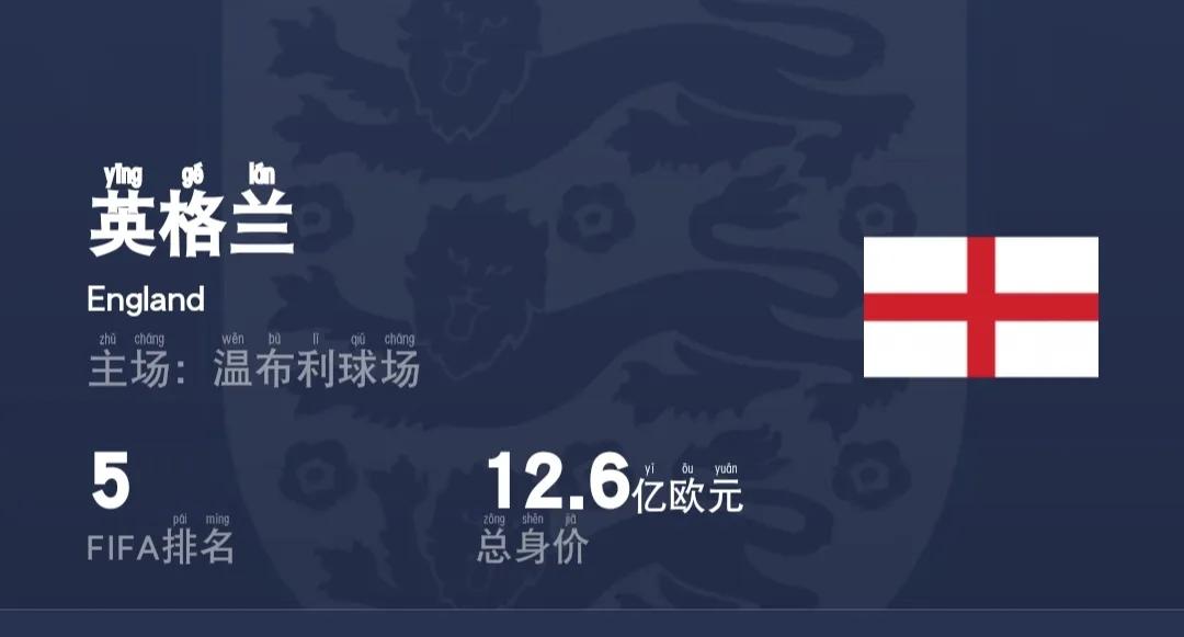 阿根廷卡塔尔世界杯26人名单身价,卡塔尔世界杯身价排名第一