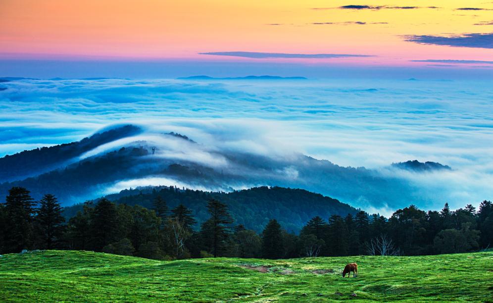 来白山,来长白山别只顾着打卡