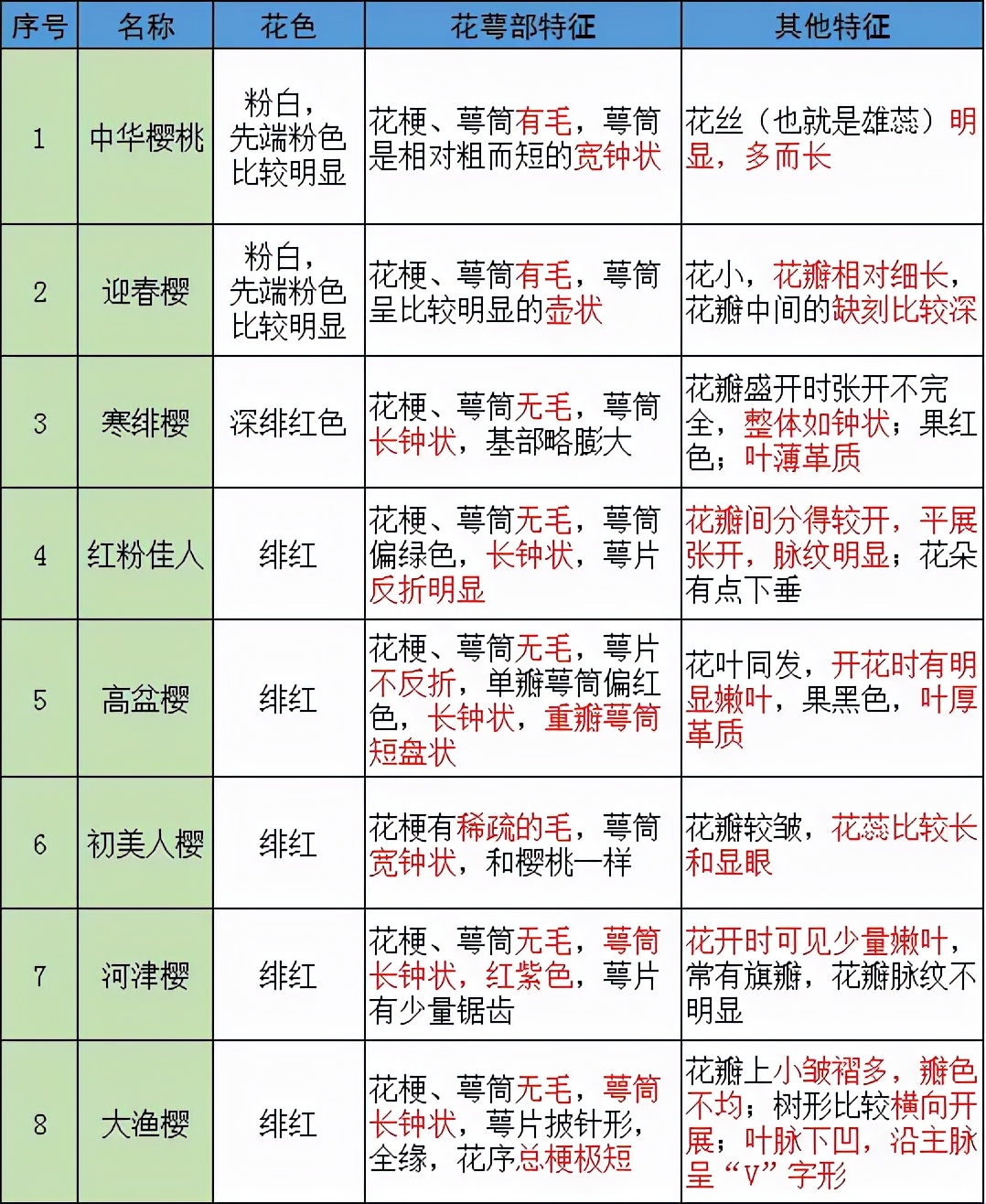 初春河津樱花图片大全,河津樱花品种大全