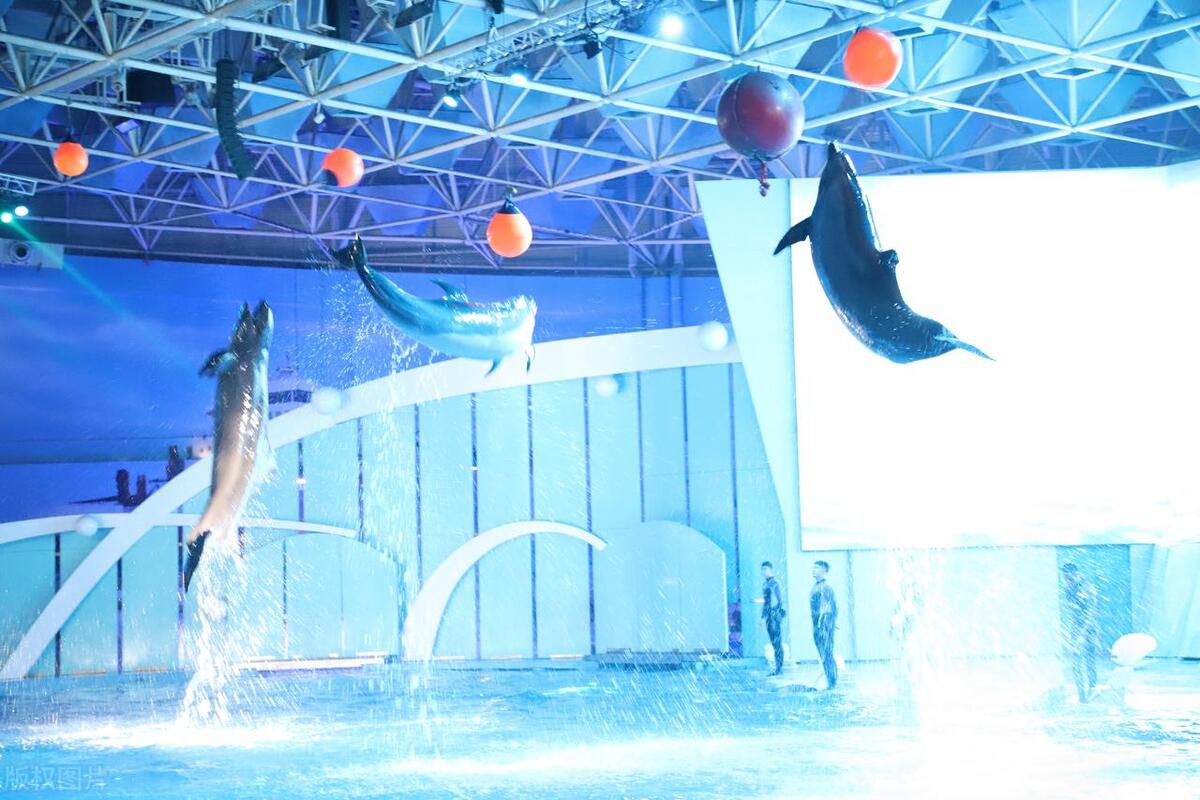 暑假亲子游玩好去处推荐团购,暑假适合亲子游乐园有哪些