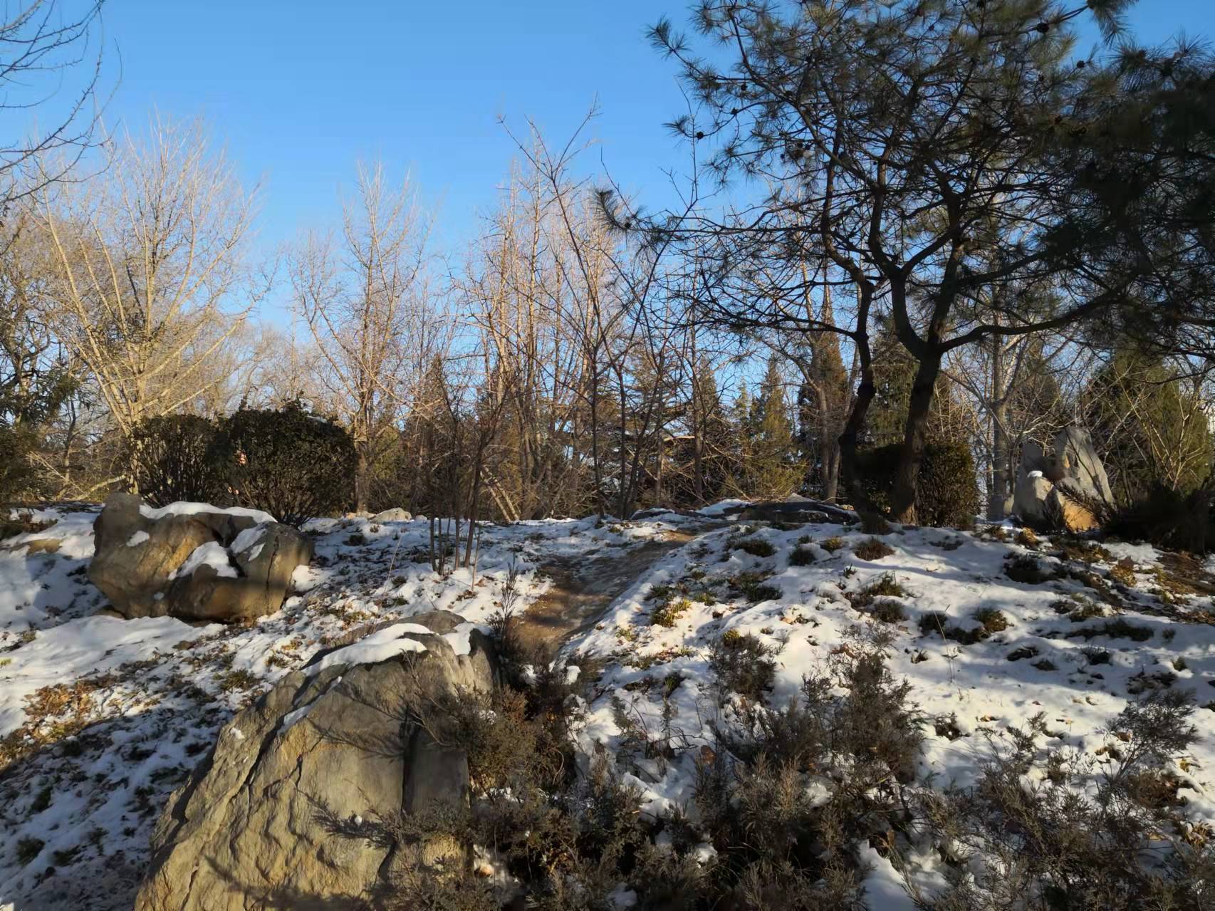 过年了天蓝蓝（诗歌十首）北京张新贵
