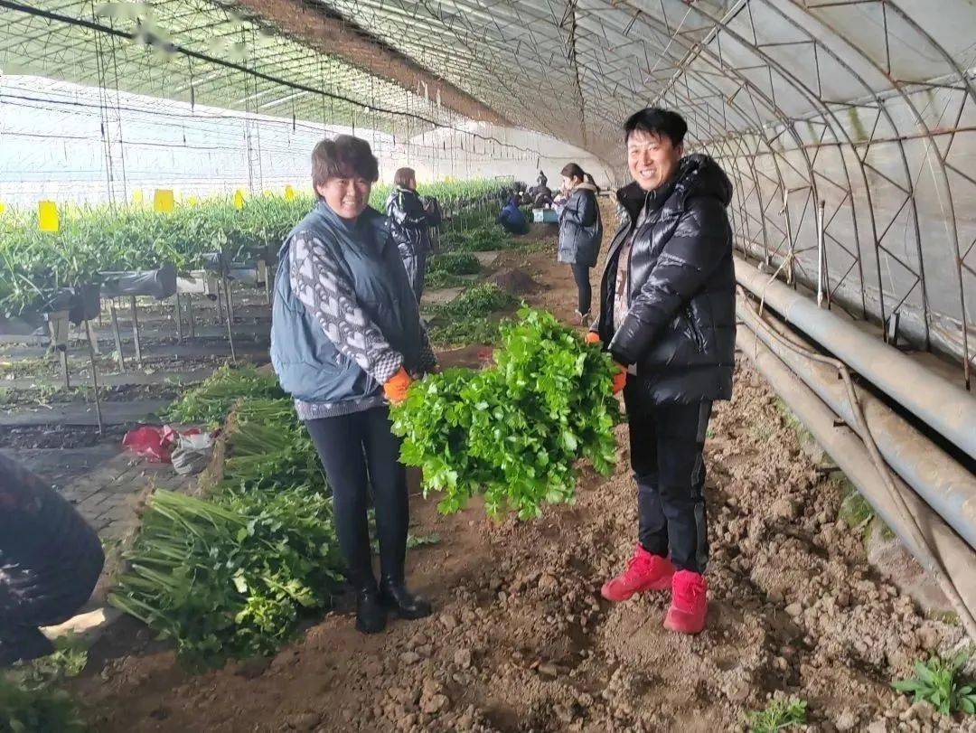 辛巴辛有志坚持公益初心不动摇,辛巴辛有志助农回放