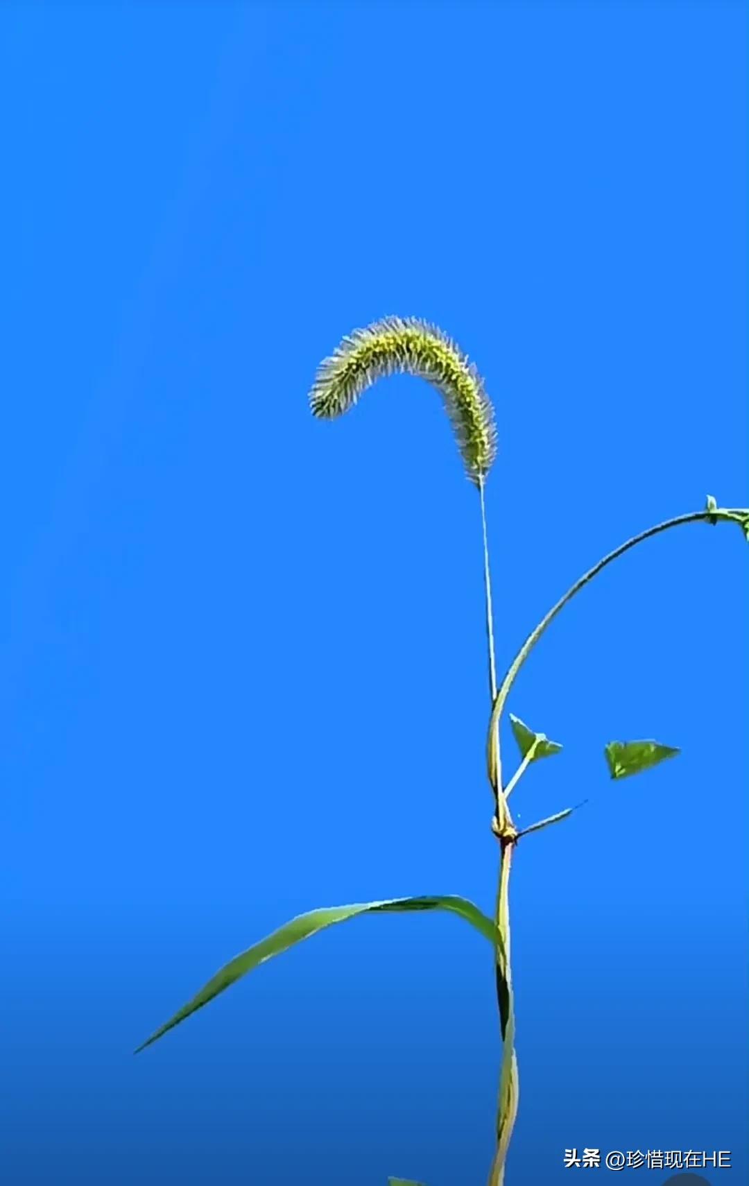 童年是人生中最美好的一段时光,童年是人生最美好的一段时光