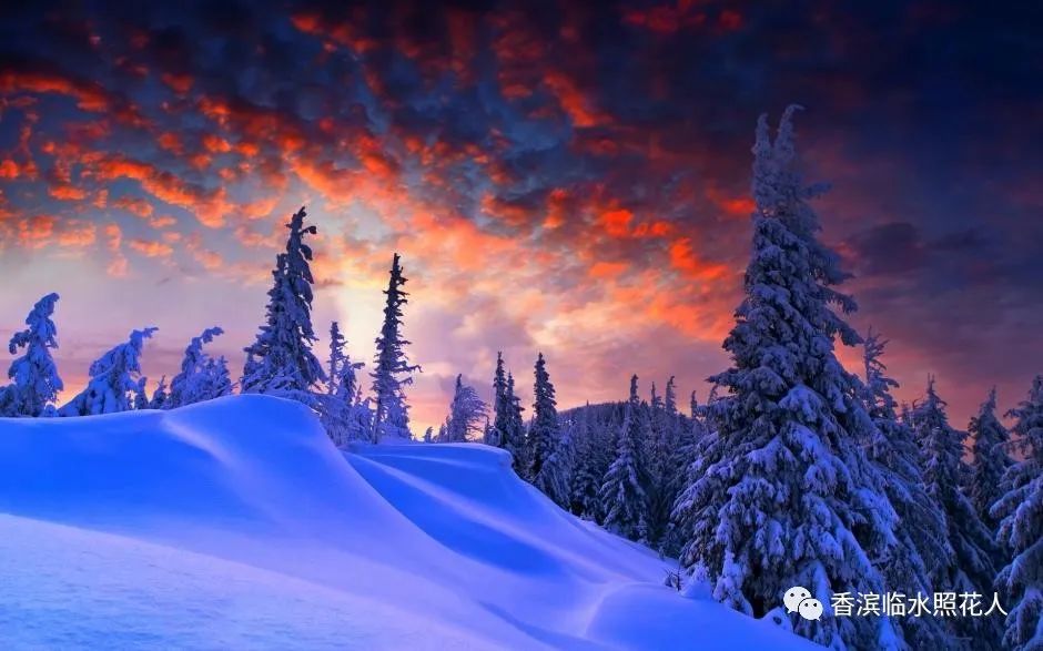 奋斗成就梦想作文高中800字,奋斗成就梦想作文200字四年级