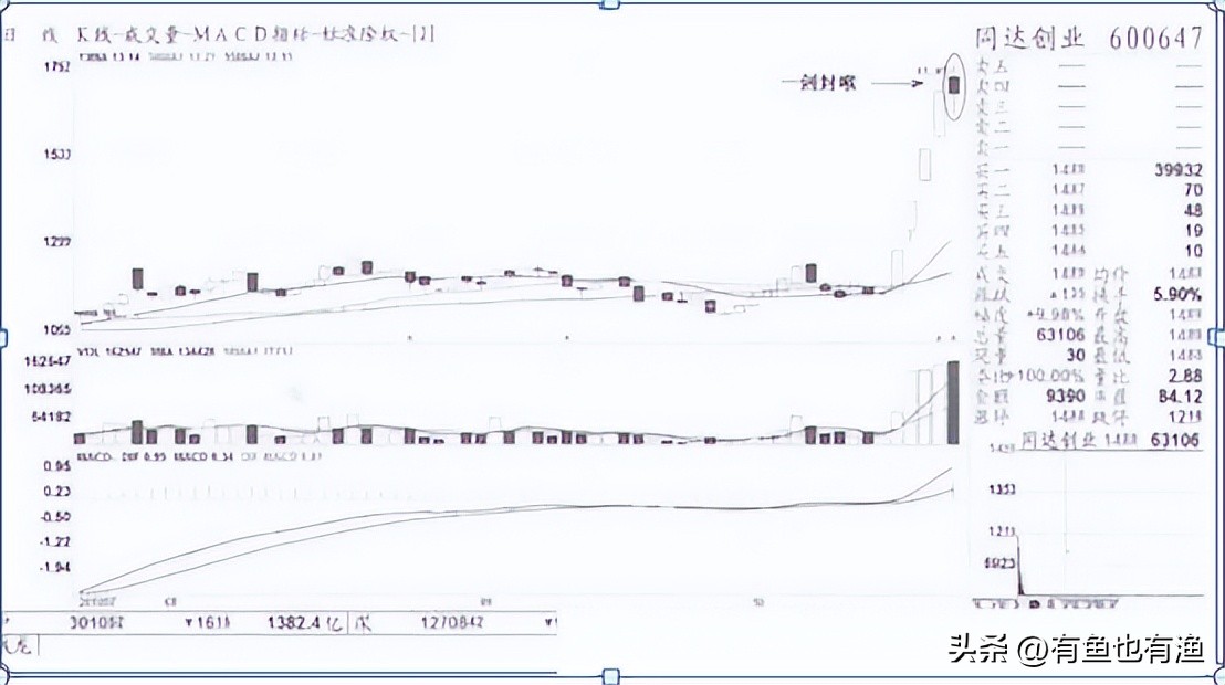 散户在股市成功盈利的实践,散户在股市上赚钱的真相