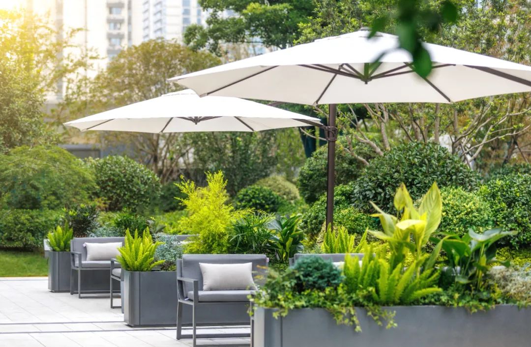 明天交付！现场实探来了，一场颜值与实力的双兑现！