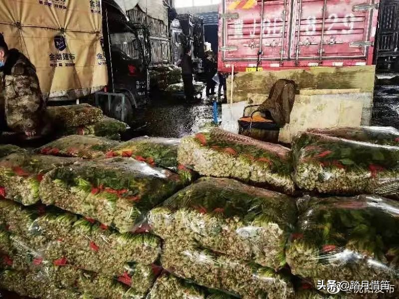 东北沈阳疫情最新通报,东北沈阳疫情