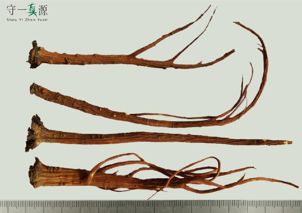 中药真伪鉴定案例,中药鉴定真假找谁