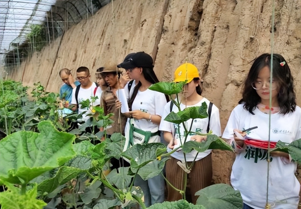 2023之后报考什么专业比较吃香,2023年报考什么专业是好专业