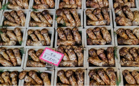 女子吐槽“糖果刺客”，意外走红网络，网友震惊：六块糖500元？