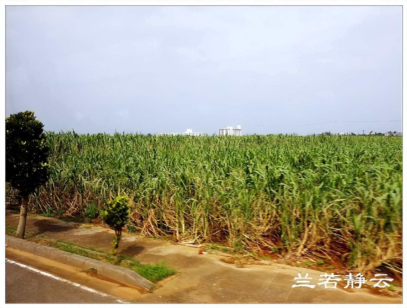 星梦邮轮日本冲绳宫古岛,邮轮旅游日本宫古岛