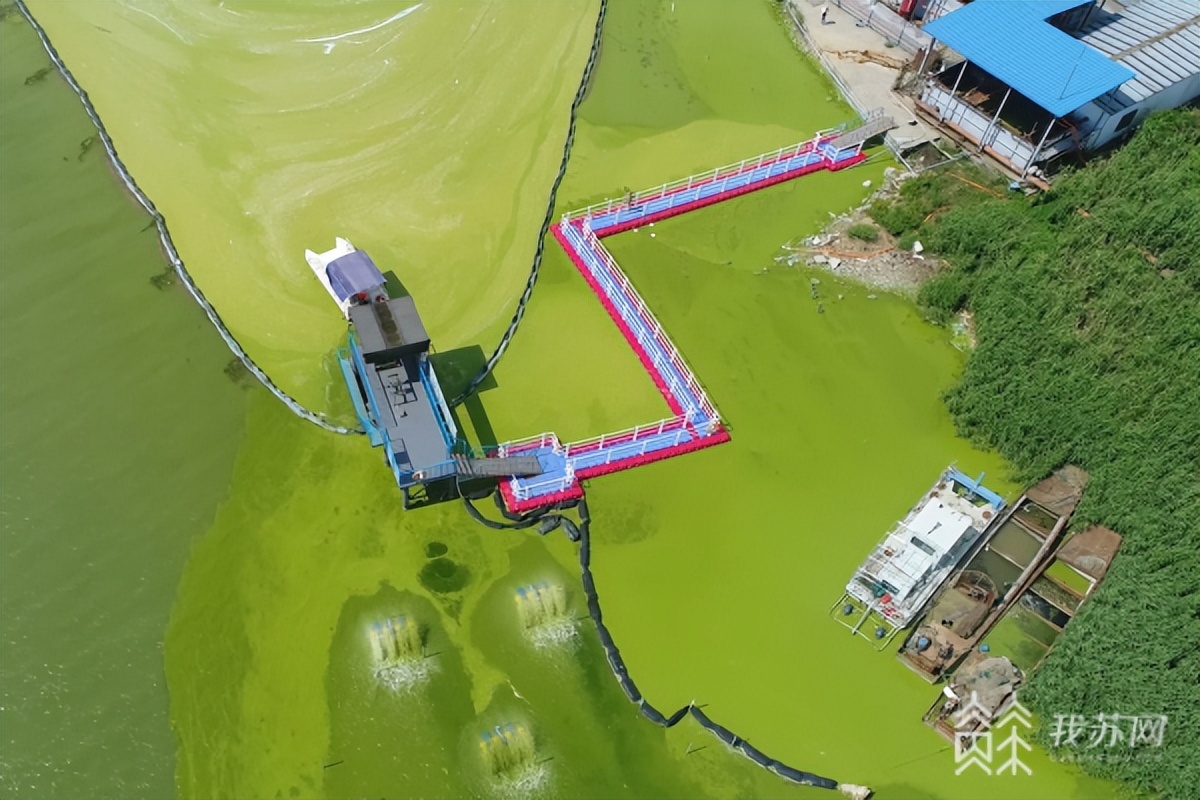 「十年弄潮江海声·夺冠」蓝藻治理的定湖神器