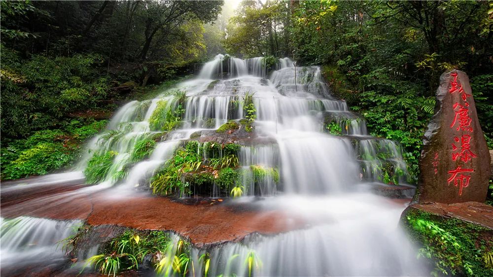 来雅安去哪玩最好玩,夏天去雅安旅游怎么样