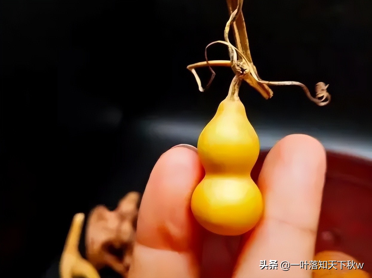 这四种文玩越玩越值钱你有吗,能盘透的几种文玩