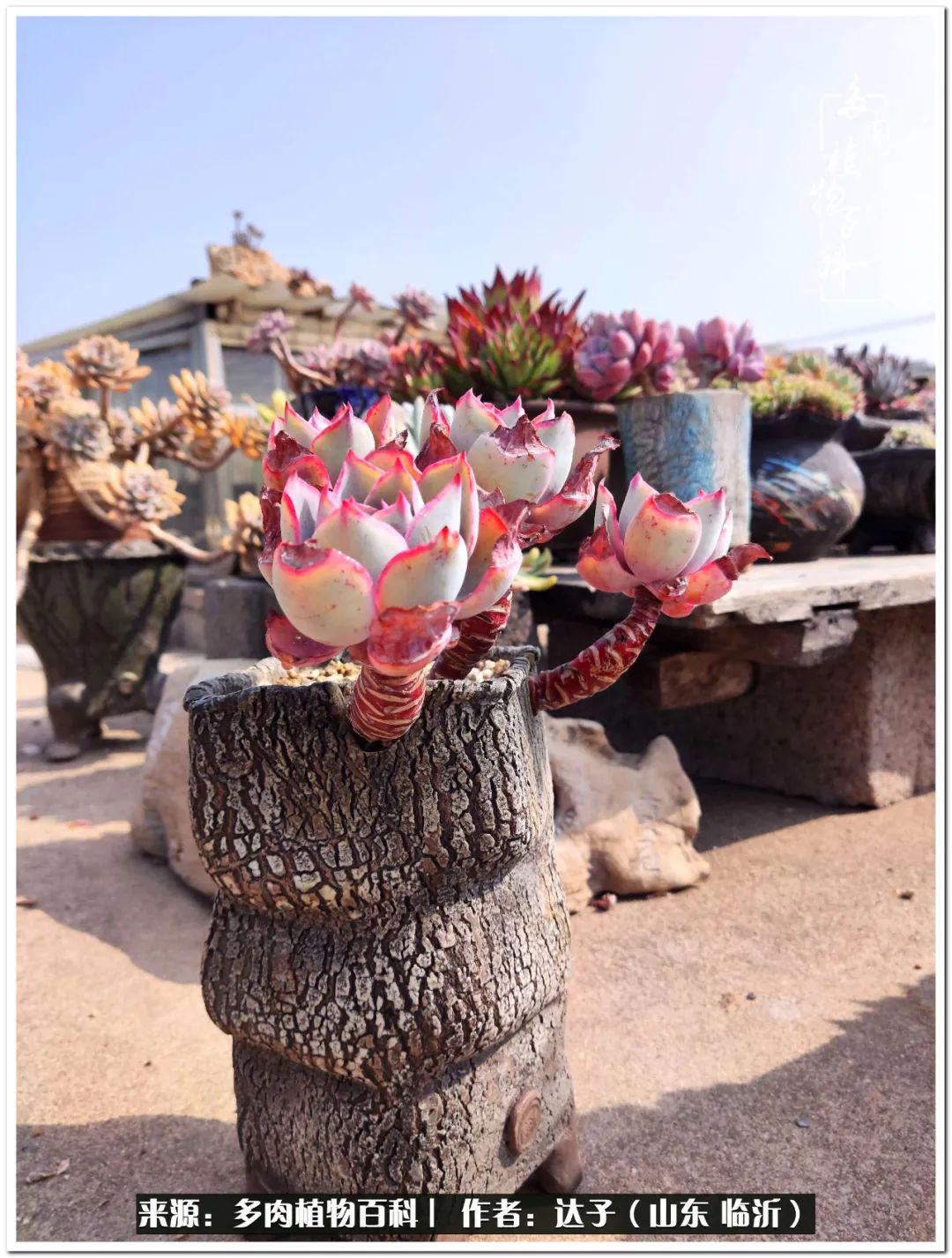 活在当下珍惜眼前平凡的生活,活在当下感慨万千