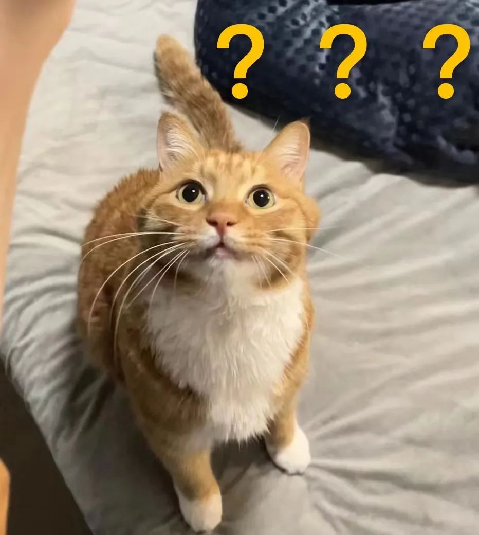 网购遇到问题怎么解决,网购问题没人解决怎么办