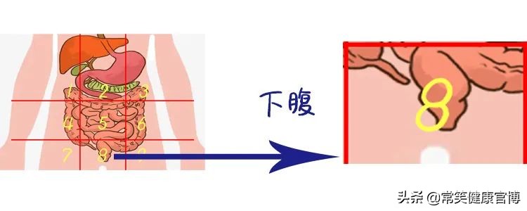 肚子疼胀痛部位对照表,肚子疼是哪里有问题一张图告诉你