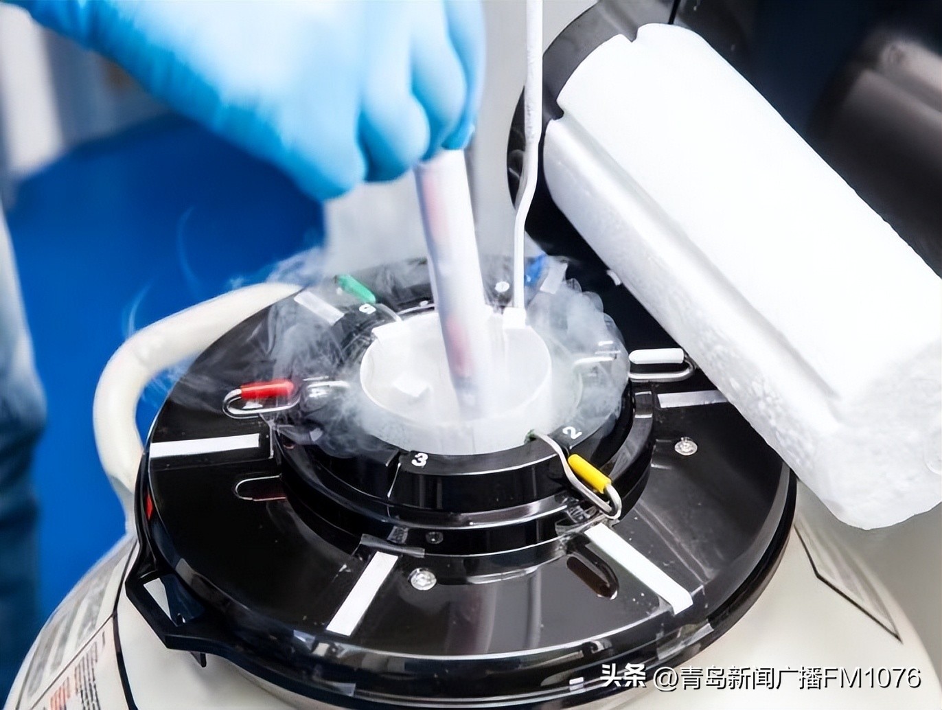 揭秘试管婴儿孕育全过程,试管婴儿诞生原理