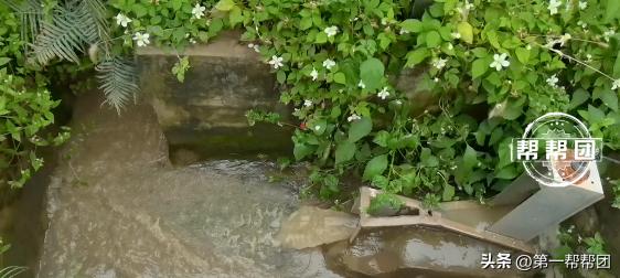 塑料颗粒厂是污染环境的厂子吗,环保查到塑料颗粒厂子怎样处理