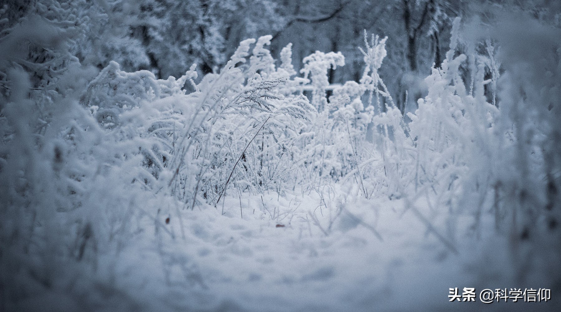 太阳熄灭地球又会变成什么样子,假如太阳熄灭了地球会变成什么样