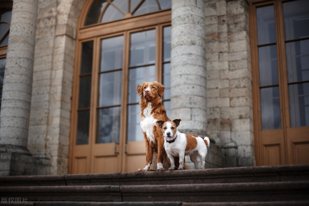 丁克后的生活感悟,丁克老年后悔的真实故事