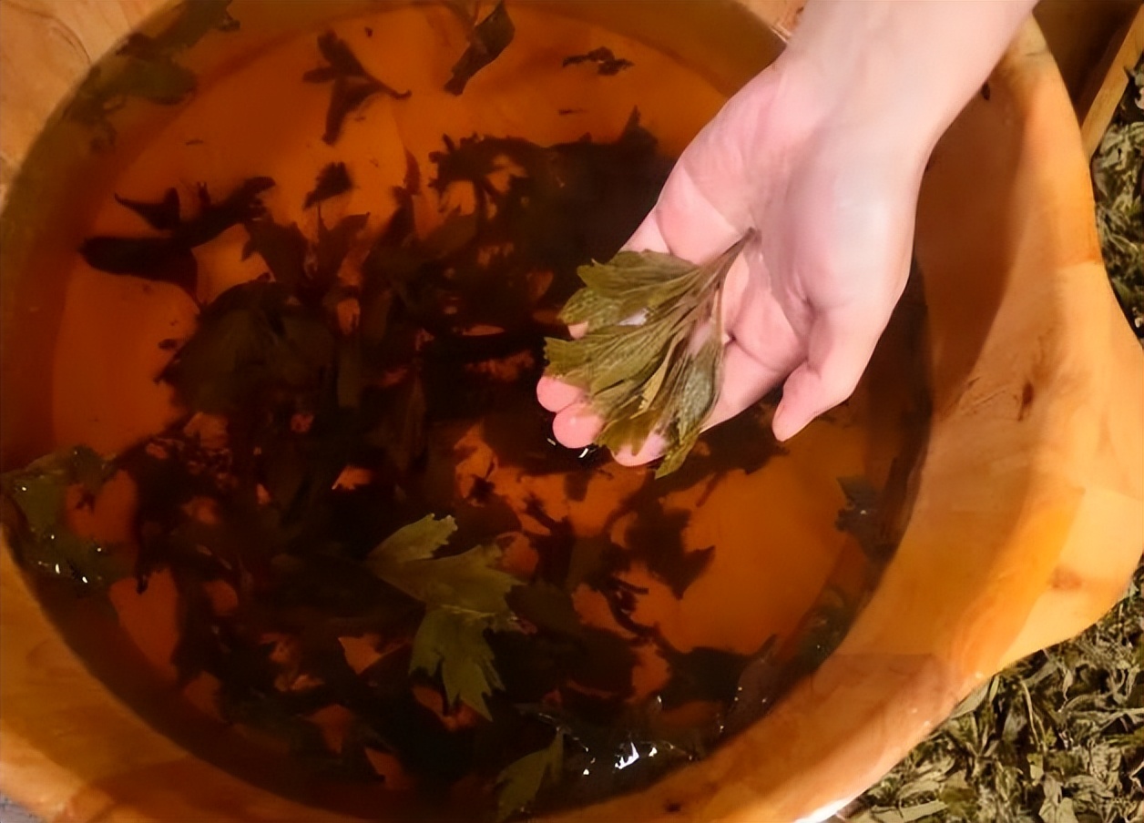 艾叶加生姜泡脚的功效坚持一个月,长年坚持花椒艾叶泡脚