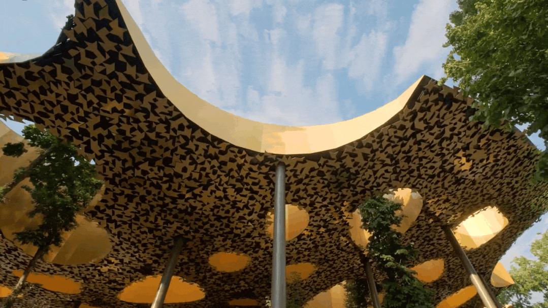 与藤本壮介一起走进金色叶子‘殿堂’，匈牙利音乐之家