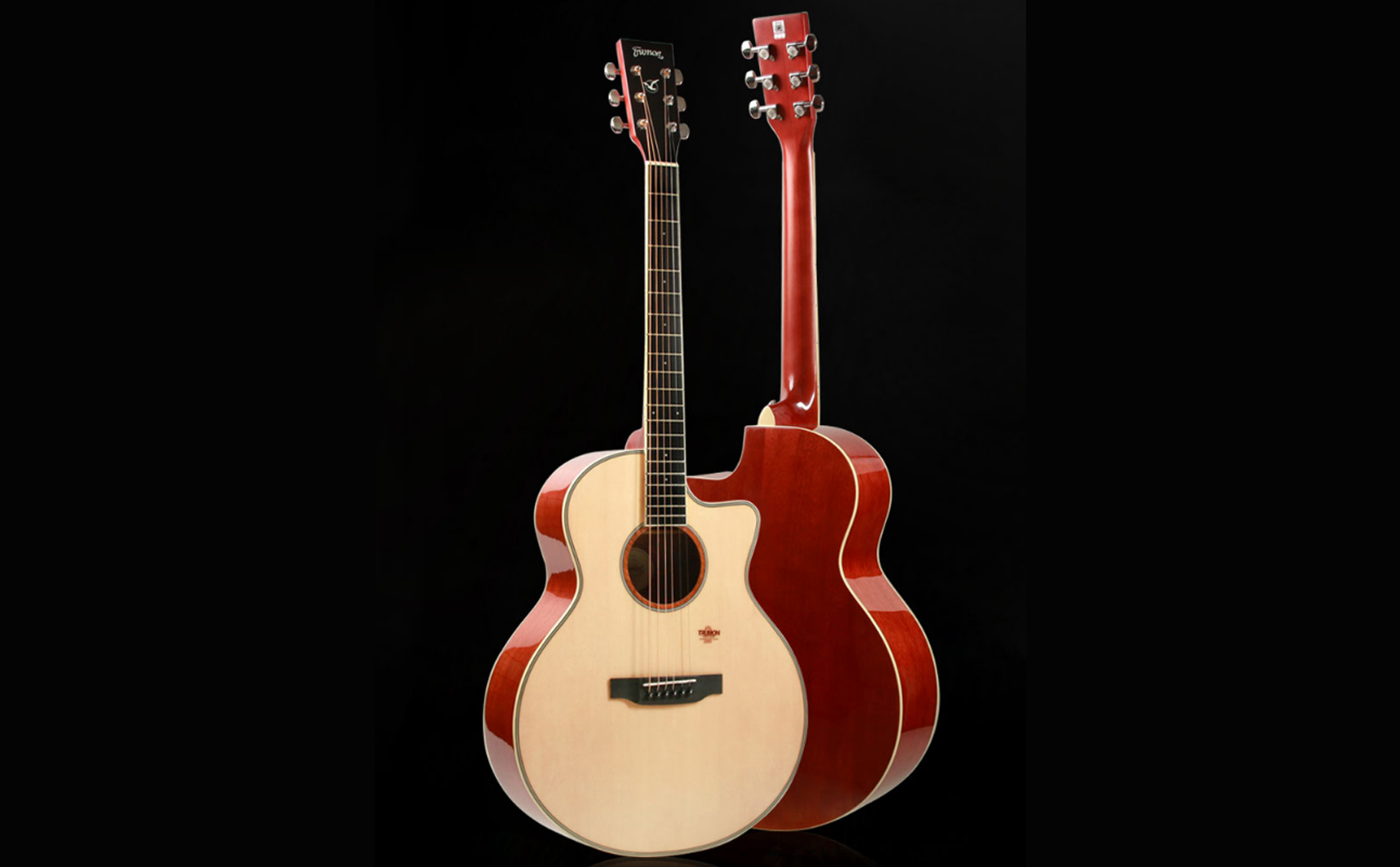 初学者入门吉他推荐哪款比较好学,新手买电箱吉他还是原声吉他