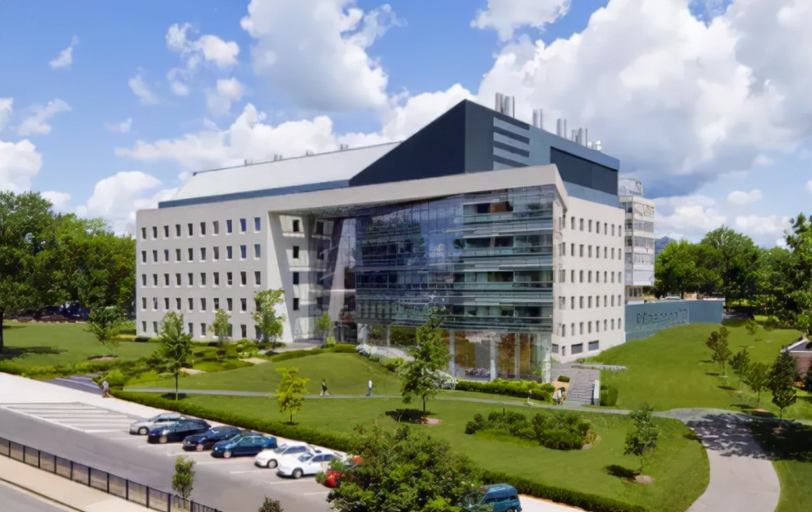 切尔诺贝利抗辐射真菌,切尔诺贝利发现的真菌