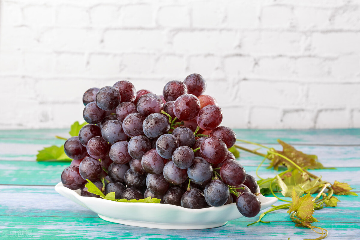 男人贫血吃什么好,男人贫血食补菜单