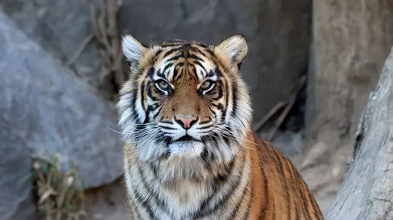 一盒感冒药10元钱,感冒药120一盒