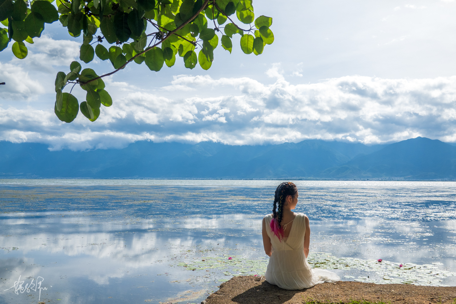 我的2022年度报告,我的2022原版