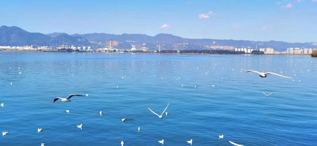 来看看贵安周边的美景,贵安最值得去的景点