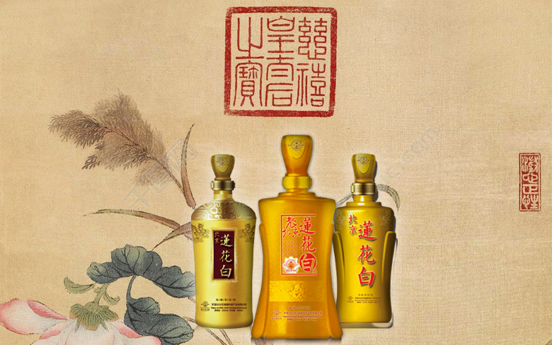 北京人为什么爱喝茶叶沫子,北京人为啥喜欢喝茉莉花茶