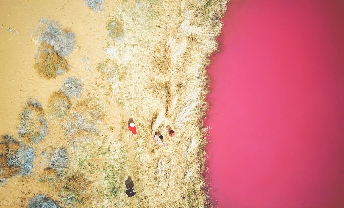 去澳大利亚打工真实现状,澳大利亚研究所真实现状